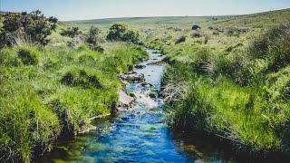 Cadover bridge.  Dartmoor.  4K