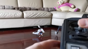 Tested Esky Honey BEE Cp2 helicopter