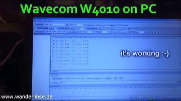 Wavecom W4010 Decoder PC Datenausgabe data output Terminal software
