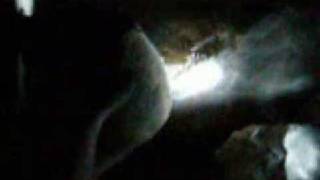 Dragon Sighting Real Original