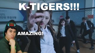 K타이거즈 (K-Tigers) - 영웅 (Mozaix Mix) HERO MV REACTION.