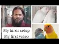 My First YouTube Video! 🦜 A Tour of My Budgie & Lovebird Setup