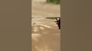 Câu Lure Mương Suối | Mồi Spoon