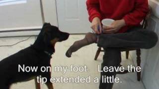 Tugging Part 2 : Train Your Service Dog to Pull off Clothing, Bedding etc #mobilitytraining