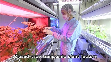 "Creating the Future through Innovation" -Introduction to AIST Hokkaido-