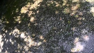 13-04 The Roscoe Rattle