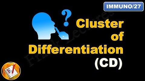 Cluster of differentiation (CD) in Immunology (FL-Immuno/27)