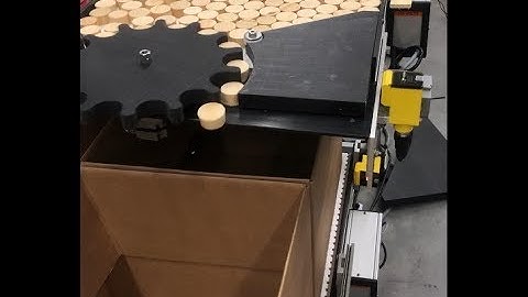 Counting Singulating Automated Packaging Conveyor