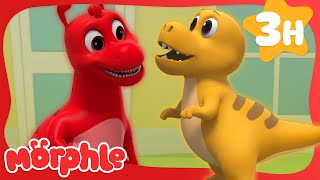 Dino Morphle vs Real Dinosaur  My Magic Pet Morphle | Morphle Dinosaurs  Cartoons for Kids