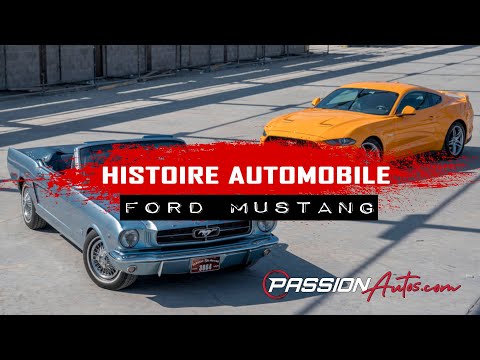 Vidéo: Qui Est Le Couvreur Mustang