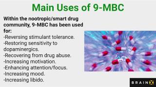 9-MBC（9-メチル-β-カルボリン）向知性薬：気分、動機付け、および動機付けのためのドーパミンのアップグレードリビドー。 9-Me-BC