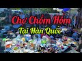 Chợ Chồm Hổm Độc Đáo Tại BuSan Hàn Quốc |cuộc sống hàn quốc|#238