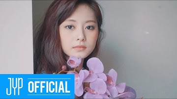 TWICE - Best of Me FMV