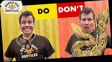 How To Buy Super Dwarf Retics