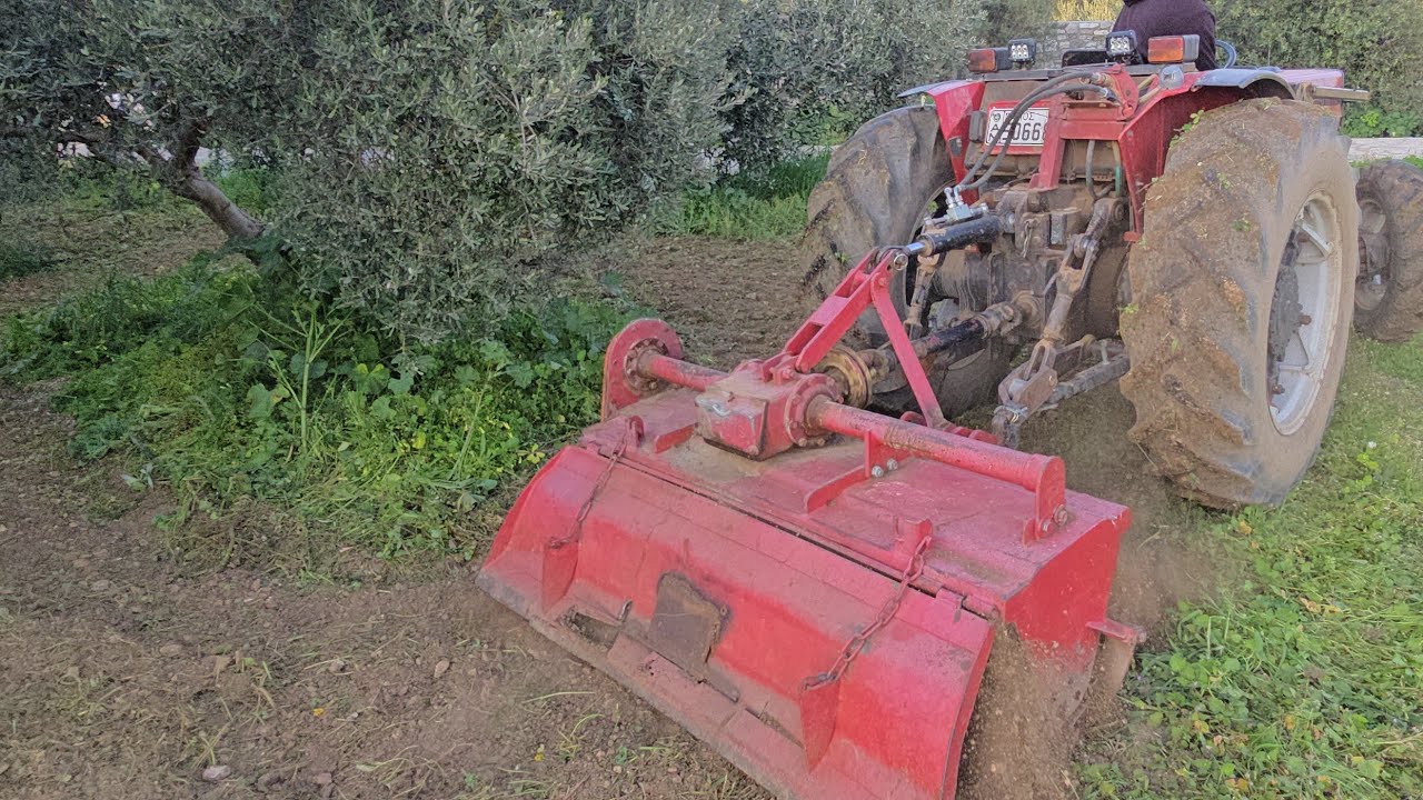 Οργώσαμε και φέτος της ελιές με φρέζα