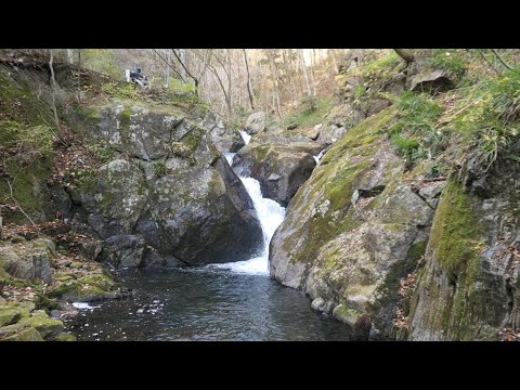 《花園渓谷にある小さな滝》滝：与四郎の滝【茨城県】（20241130撮影）