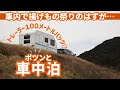 【トレーラーバック】貸し切りの海岸の車内で、ひっそりと揚げものを楽しむひとり旅。RAV4 PHVの給電方法と意外なけん引燃費もご紹介！