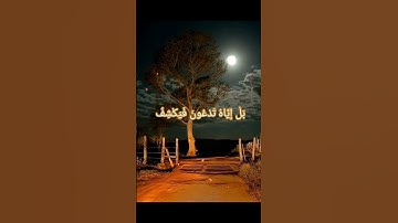 القارئ حمدي صالح