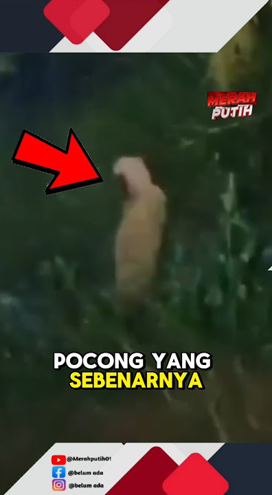 inilah suara pocong sesungguhnya🫣‼️