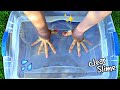 DIY Ultra CLEAR Slime! How to Make Crystal Clear Thick Slime