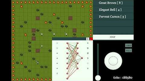 Homobits - Understanding Neural Network evolution through visualization