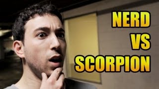 Mortal Kombat Nerd Vs Scorpion