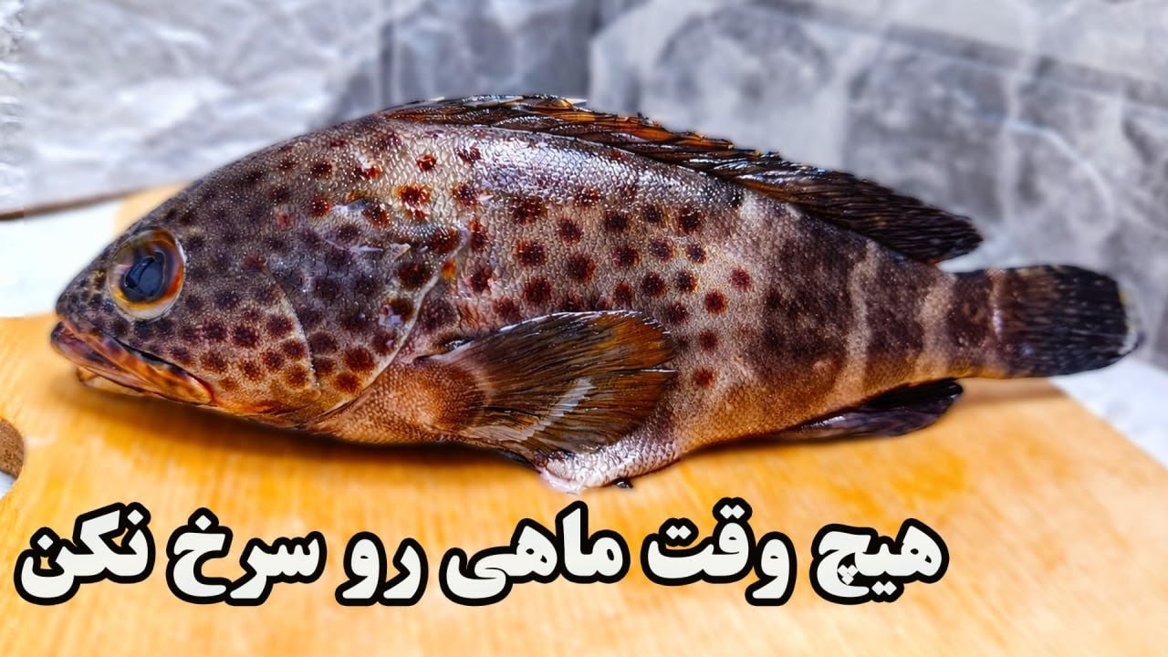 مطمئنم به این روش نپختی ماهی رو روشی بسیار عجیب که همه رو شوکه کرد