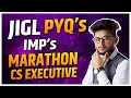 JIGL PYQ's & IMP's MARATHON CS EXECUTIVE AUGUST 2021