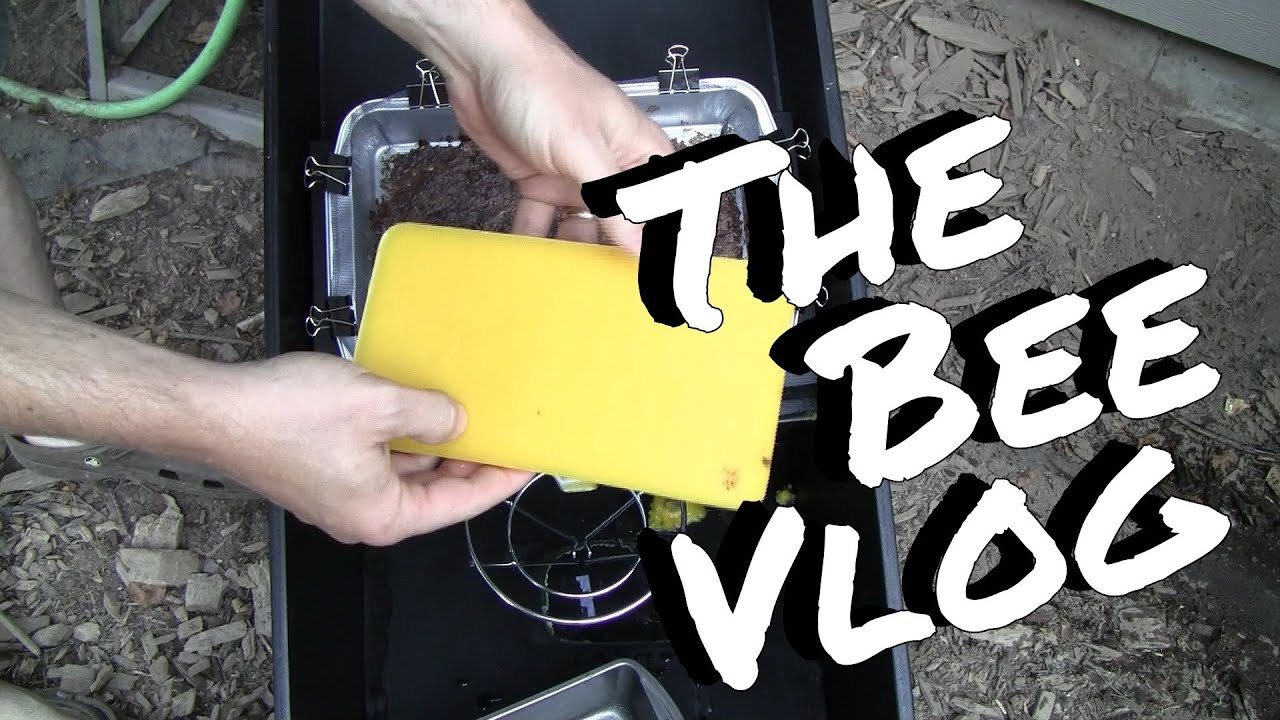 Solar Wax Melter Test - Bee Vlog #118 - Sep 7, 2013