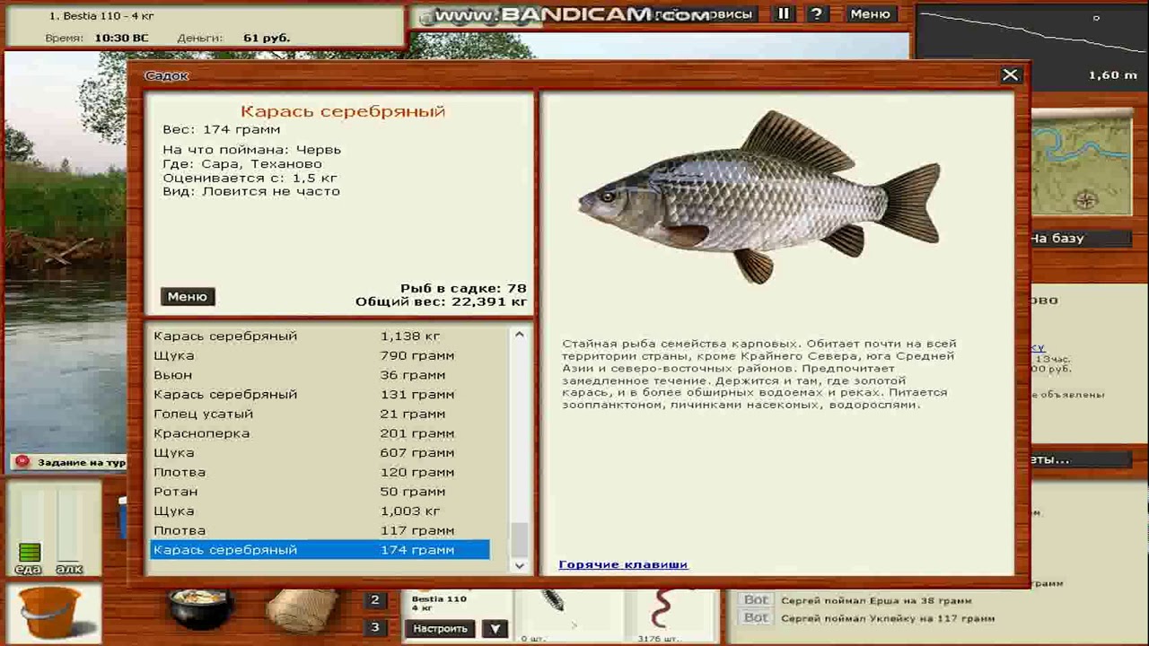 Русская рыбалка 3 базы. Русская рыбалка 3 карась серебряный.