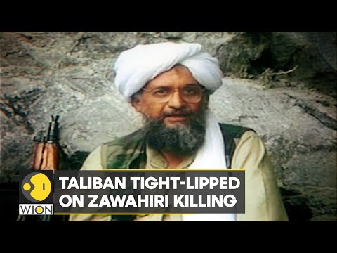 US, Taliban yet to release material evidence of Zawahiri's death | WION