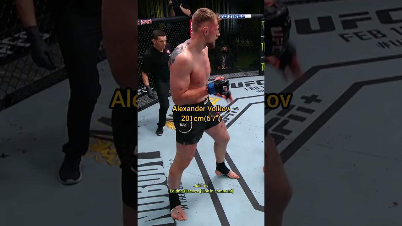 The Tallest UFC Fighters.🥊