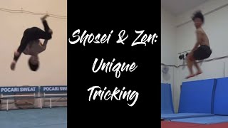 Shosei & Zen: Unique Tricking (IG Compilation)