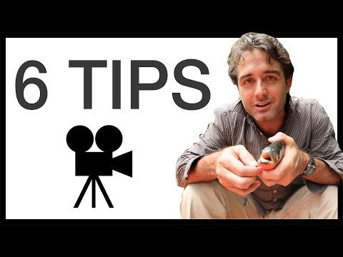 6 Tips for