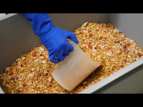 Video: Zlatá Granola