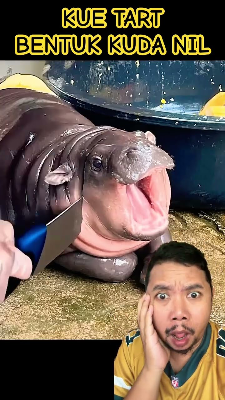KUE TART BENTUK KUDA NIL!!!?? #hippo #satisfying #comedy #funny