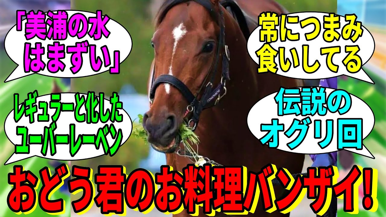 【競馬の反応集】「ドウデュースのお料理番組にありがちなこと」に対する視聴者の反応集