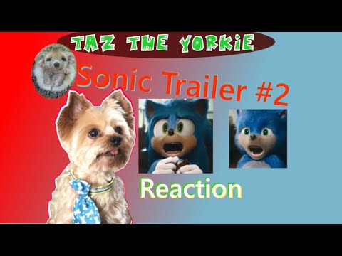 Sonic the Hedgehog