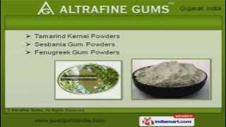 Guar Gum Powders by Altrafine Gums, Ahmedabad