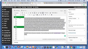 How To Change Wordpress The Font Size