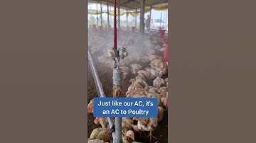 We Call Them As Foggers! Poultry AC