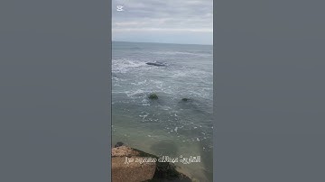 تلاوة من سورة هود برواية السوسي عن ابي عمرو