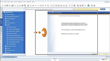 SAP Business One Master Data Cleanup Wizard