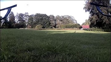 Bugs 3 with C5020 camera