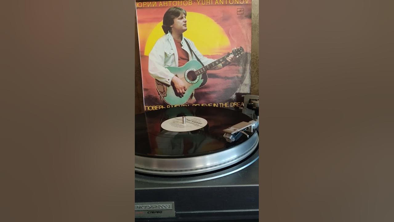 Верьте в мечту. Пантера боксер. Бездомный который стал боксером. Поверь в мечту миранда. Поверь в мечту миранда.