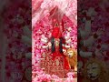 Jai Mata♥️🚩🥰🙏#jaimatadi #jaimatarani #love #love