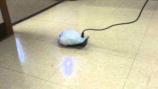 Finch Robot Video