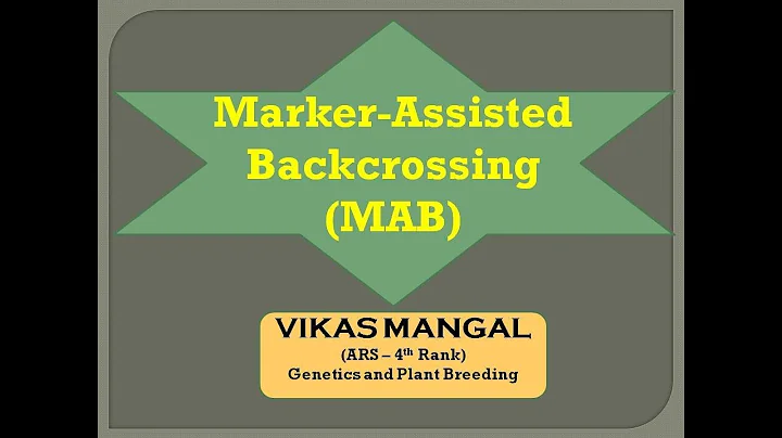 Marker Assisted Backcrossing (MABB) | By Vikas Mangal - DayDayNews