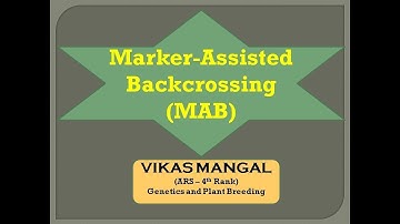 Marker Assisted Backcrossing (MABB) | By Vikas Mangal
