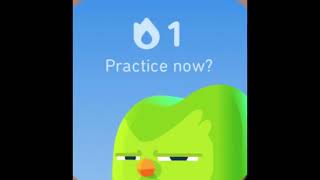 duolingo widgets but they progressively get worse screenshot 5